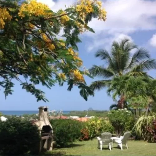 588_443_1672064794_80_588_______appartement-location-martinique-sainte-luce-jardin-148440-8173_597264